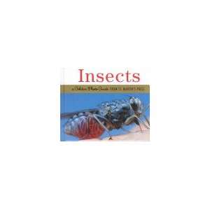  Insects Theresa Greenaway Books