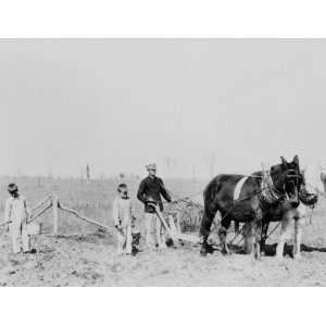   plowing with two horses or mules in Lonoke County, Arkansas. The Arka