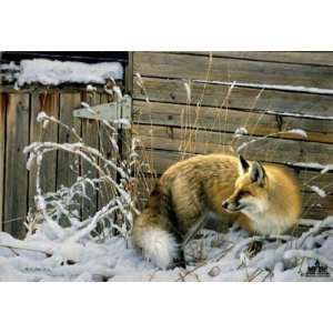 SHED DOOR FOX by Nancy Glazier Signed & Numbered Limited Edition Paper 