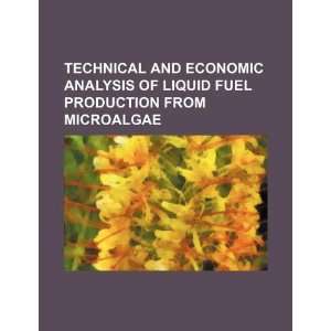  Technical and economic analysis of liquid fuel production 