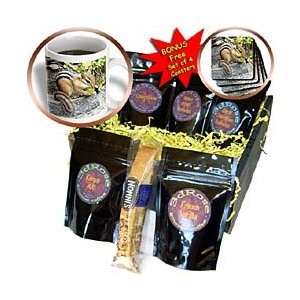 Wild animals   Chipmunk   Coffee Gift Baskets   Coffee Gift Basket 