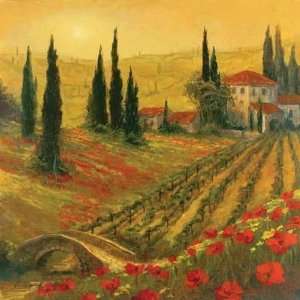    Art Fronckowiak   Poppies Of Toscano I Canvas
