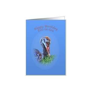  Son in laws Birthday Card with Sandhill Crane Bird Card 