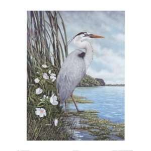 James Harris   Great Blue Heron Canvas