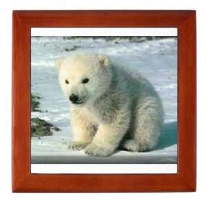  Baby Polar Bear Baby Keepsake Box by  Baby