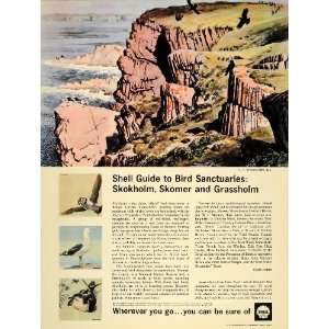   Bird Sanctuary Tunnicliffe   Original Print Ad