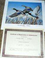 Kothenbeutel ducks Print Courtship Flight Mallard  