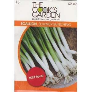  Cooks Garden Summer Bunching Scallion Seeds  2 grams 