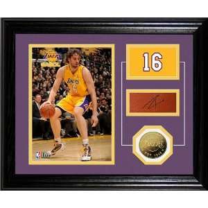    Pau Gasol Framed Player Pride Desk Top: Sports Collectibles