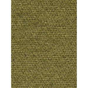  Pindler & Pindler Bessler   Verde Fabric