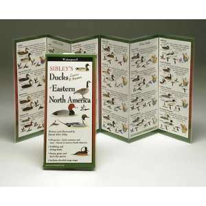  Sibleys Ducks Eastern North America Guide Arts, Crafts 