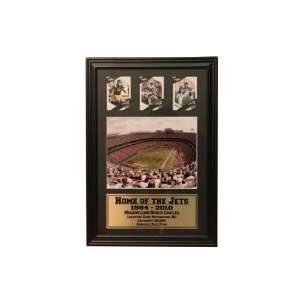  New York Jets 12x18 Three Card Frame: Sports & Outdoors