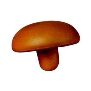  Mushroom   Stress reliever. Closeout. Health & Personal 