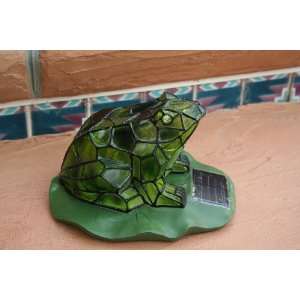  Solar Frog   Solar Garden Light   Solar Pet: Patio, Lawn 