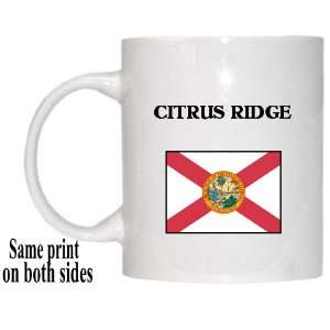    US State Flag   CITRUS RIDGE, Florida (FL) Mug 