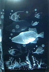 3D Laser Etched Crystal Glass Tower Paperweight Fishes Swimming 3x2 