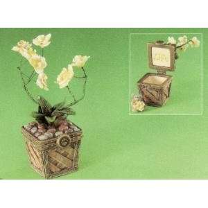    Boyds Leilas Orchid w/Bloom McNibble treasure Box