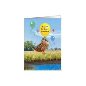  Birthday, Grandson, Duck, Balloons Card Toys & Games