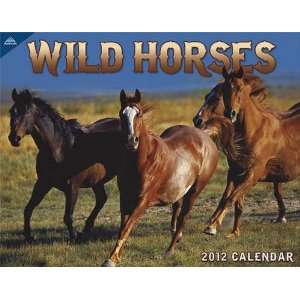  Wild Horses 2012 Deluxe Wall Calendar