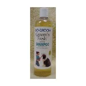  BIOGROOM GROOM N FRESH SHAMPOO 12 OZ