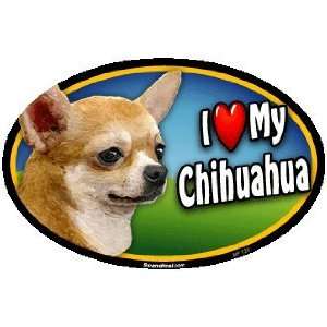   Oval Car Magnet   I Love My Chihuahua (125)