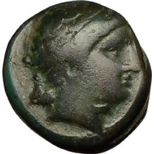  Philip II 359BC Ancient OLYMPIC Ancient Greek Coin APOLLO 