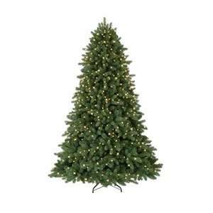  4 Classic Noble Fir with Multi Lights