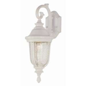    Trans Globe Lighting 4020 SWI pendant lantern: Home Improvement