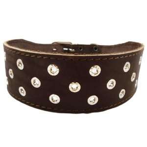   Fits 19 22.5 Neck. For Large Breeds   Boxer, Pit bull