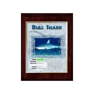  Marine (Bull Shark) Animal Planet Products 10 x 13 