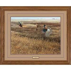  Scot Storm   Legacy IV   Pheasants Framed Artists Proof 