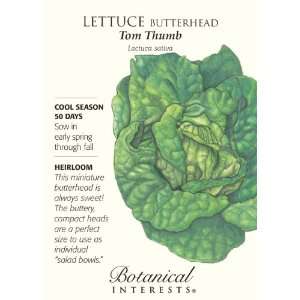 Lettuce Butterhead Tom Thumb Seed: Patio, Lawn & Garden