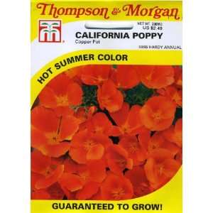   5986 California Poppy Copper Pot Seed Packet Patio, Lawn & Garden
