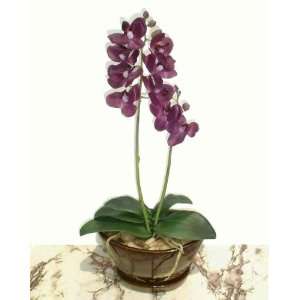  19 Butterfly Orchid, Artificial Plant