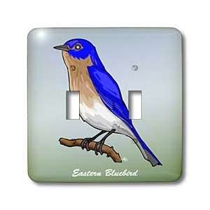 Mark Grace GRACEVISIONS Birds   BIRDS eastern bluebird 3 on gradient 