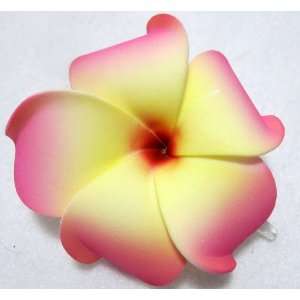  Pink and Yellow Hawaiian Plumeria Flower Hair Clip, Limited.: Beauty