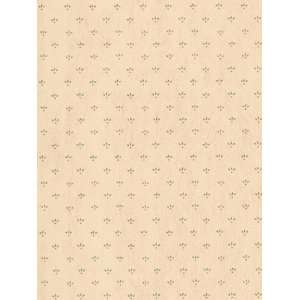  Wallpaper Steves Color Collection   Brown BC1580079: Home 