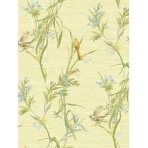   Seabrook Wallcovering Richmond Heights WG81402: Home Improvement