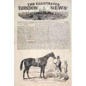   Surplice Racehorse Horse St Leger Doncaster Races 1848