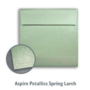  ASPIRE Petallics Spring Larch Envelope   250/Box Office 