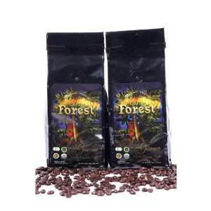 Coffee Forest Gourmet Whole Beans   USDA Certified Organic Coffee 