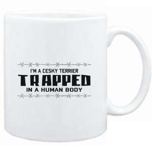  Mug White  I AM A Cesky Terrier TRAPPED IN A HUMAN BODY 