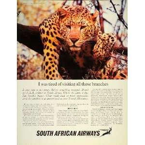   Ad South African Airways Cheetah Africa Travel   Original Print Ad