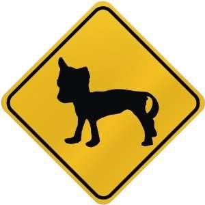    ONLY  CHINESE CRESTED  CROSSING SIGN DOG