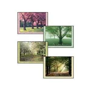  Scripture Greeting Cards KJV Boxed Get Well   Groves of 
