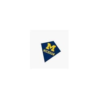 University of Michigan Kite: Toys & Games