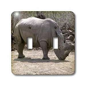  Beverly Turner Photography   Rhino   Light Switch Covers 