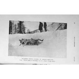  1914 Photograph Ski Ing Sport Bob Run Switzerland Snow 