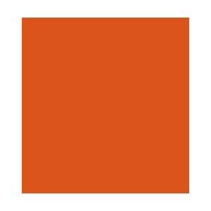  Design Master Orange (12 oz) Arts, Crafts & Sewing