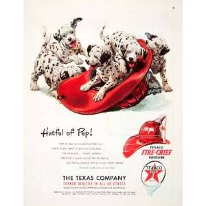   Puppies Texas Company US Canada   Original Print Ad